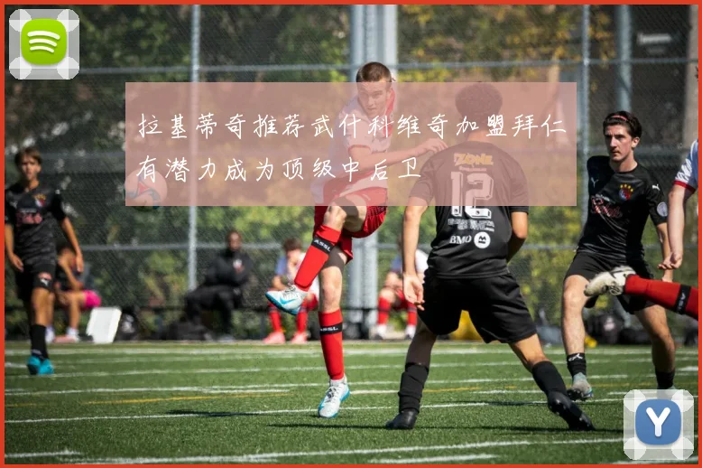 拉基蒂奇推荐武什科维奇加盟拜仁有潜力成为顶级中后卫
